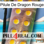 Red Dragon Pill new11